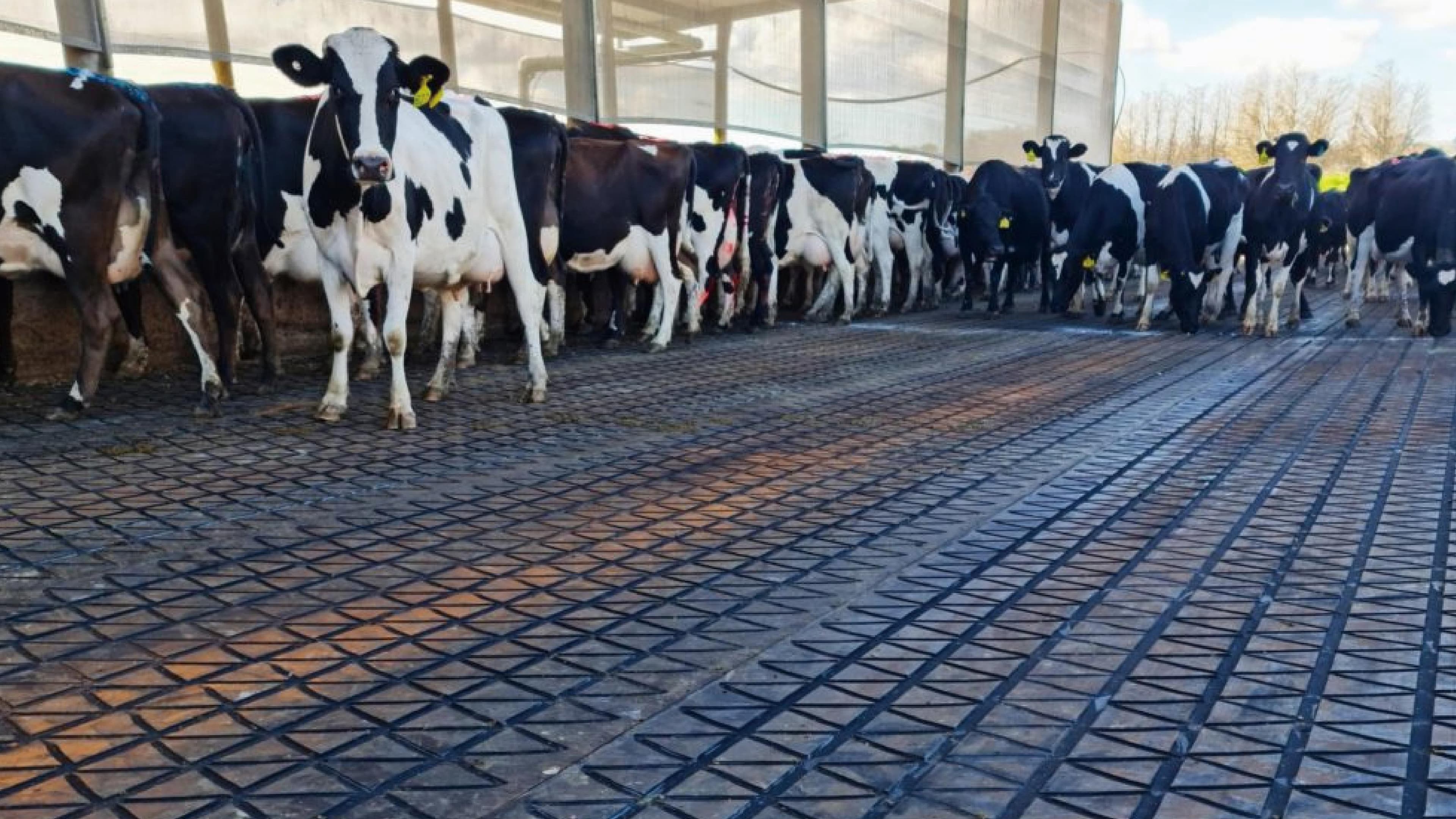 Livestock & Farm Supplies